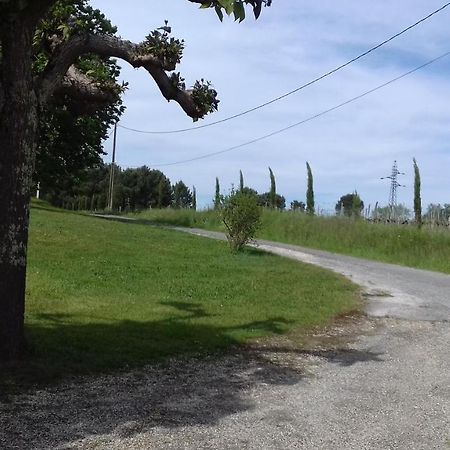 Gite Lieu Dit Gautier Civrac-de-Blaye Exteriér fotografie